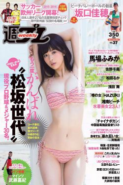 狗阵在线观看完整免费高清